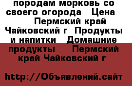 породам морковь со своего огорода › Цена ­ 30 - Пермский край, Чайковский г. Продукты и напитки » Домашние продукты   . Пермский край,Чайковский г.